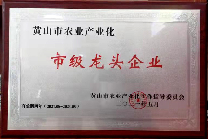 市龙头企业