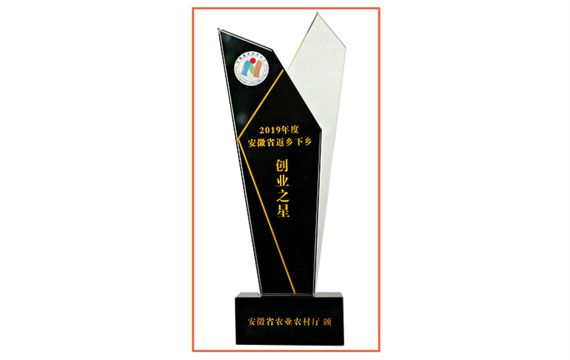 创业之星奖杯
